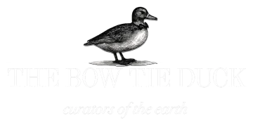 The Bow Tie Duck