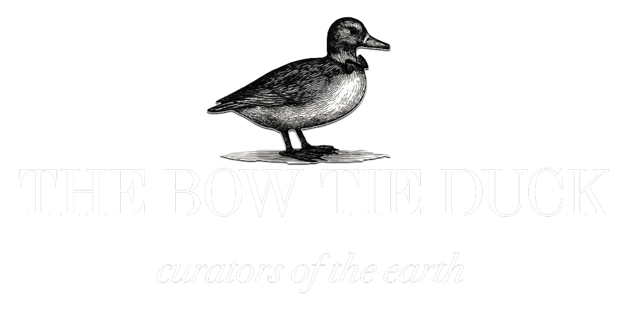 The Bow Tie Duck