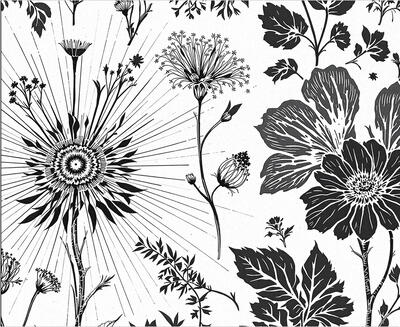 Sketched Meadow